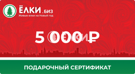 Подарочный сертификат на 5000 руб.
